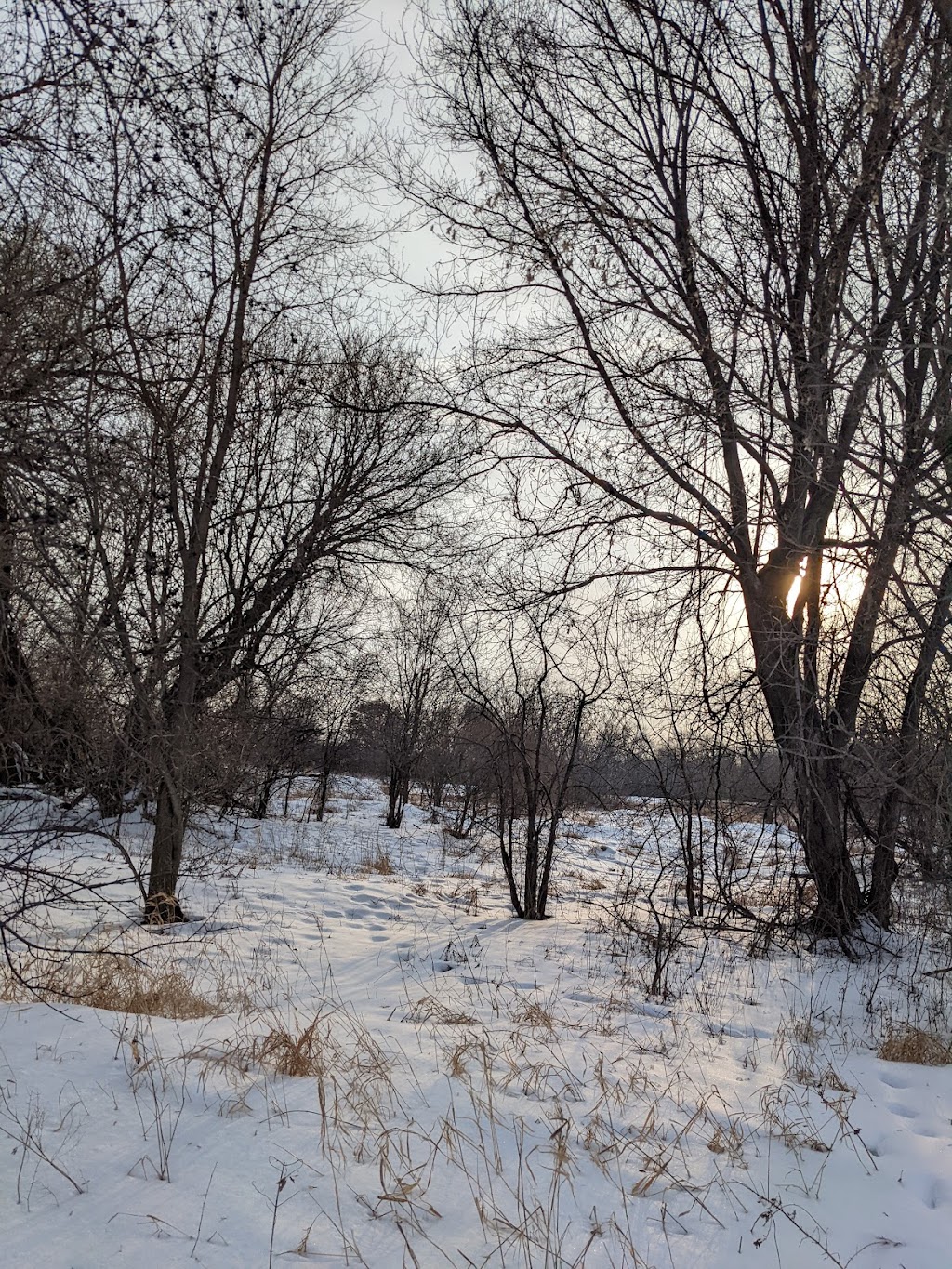 Creek Ridge Park | 3216 S Coon Creek Dr NW, Andover, MN 55304, USA | Phone: (763) 767-5131