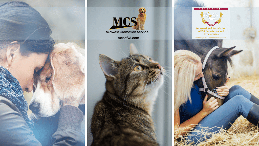 Midwest Cremation Service of WI, Inc. | W9242 County Rd CS, Poynette, WI 53955, USA | Phone: (608) 635-7270