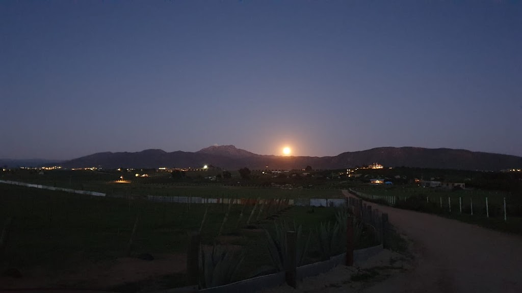 Rancho Valenzuela | 22766 Ejido El Porvenir (Guadalupe), Baja California, Mexico | Phone: 646 101 1422