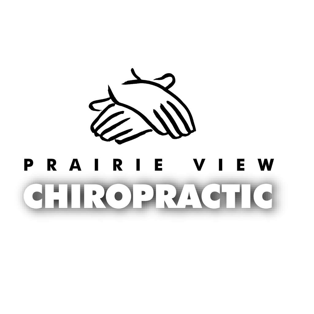 Prairie View Chiropractic | 7510 Market Pl Dr #102, Eden Prairie, MN 55344, USA | Phone: (952) 697-0054