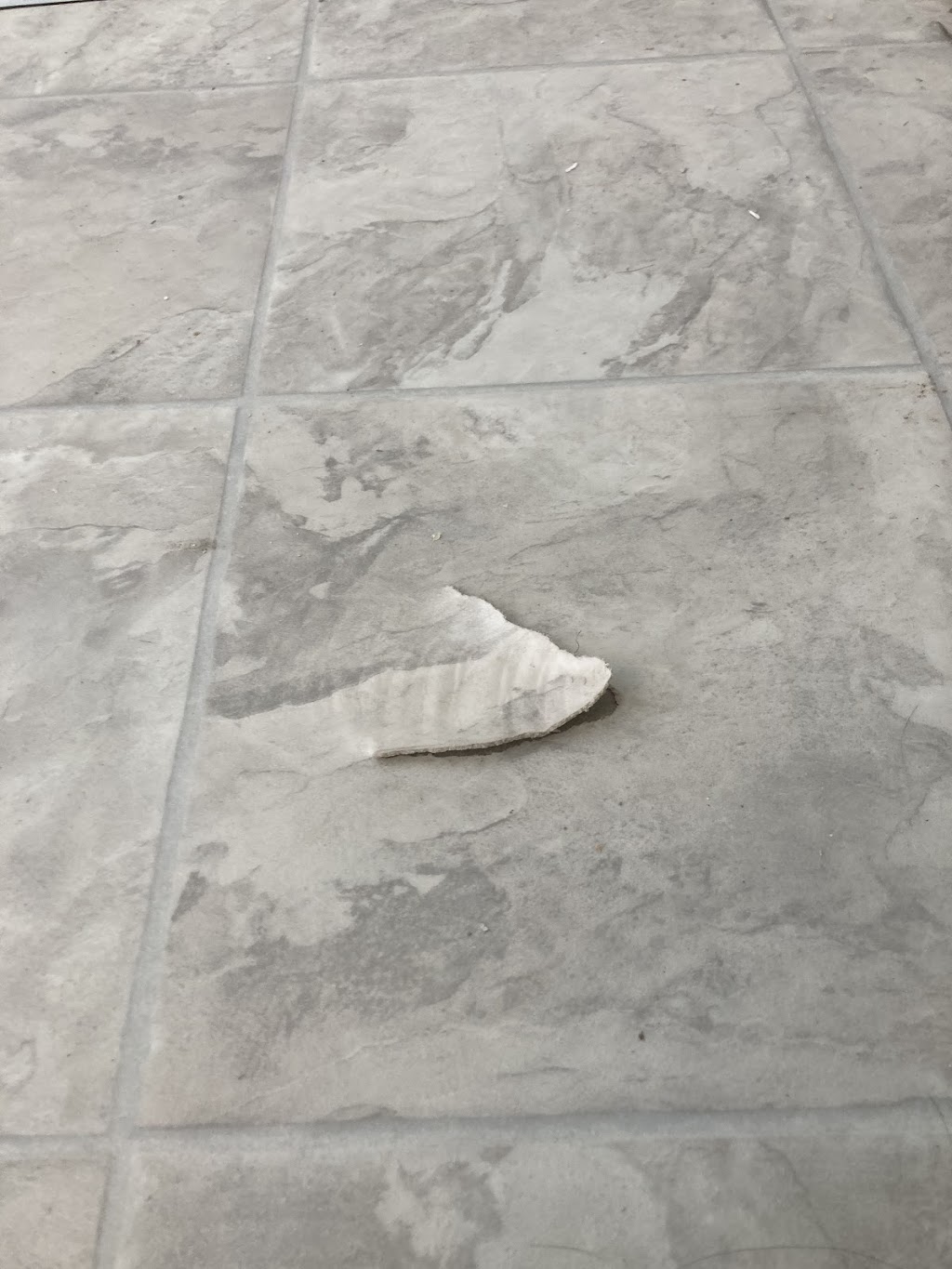 Richmond Carpet Outlet | 3911 W Natl Rd, Richmond, IN 47374, USA | Phone: (765) 935-1074