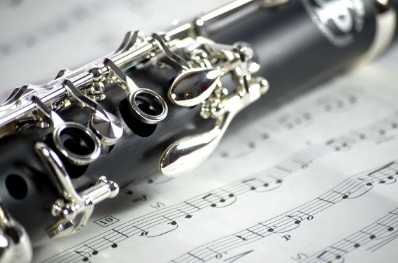 Private Clarinet and Saxophone Lessons | 91 Minnehaha Blvd, Oakland, NJ 07436, USA | Phone: (201) 739-1208