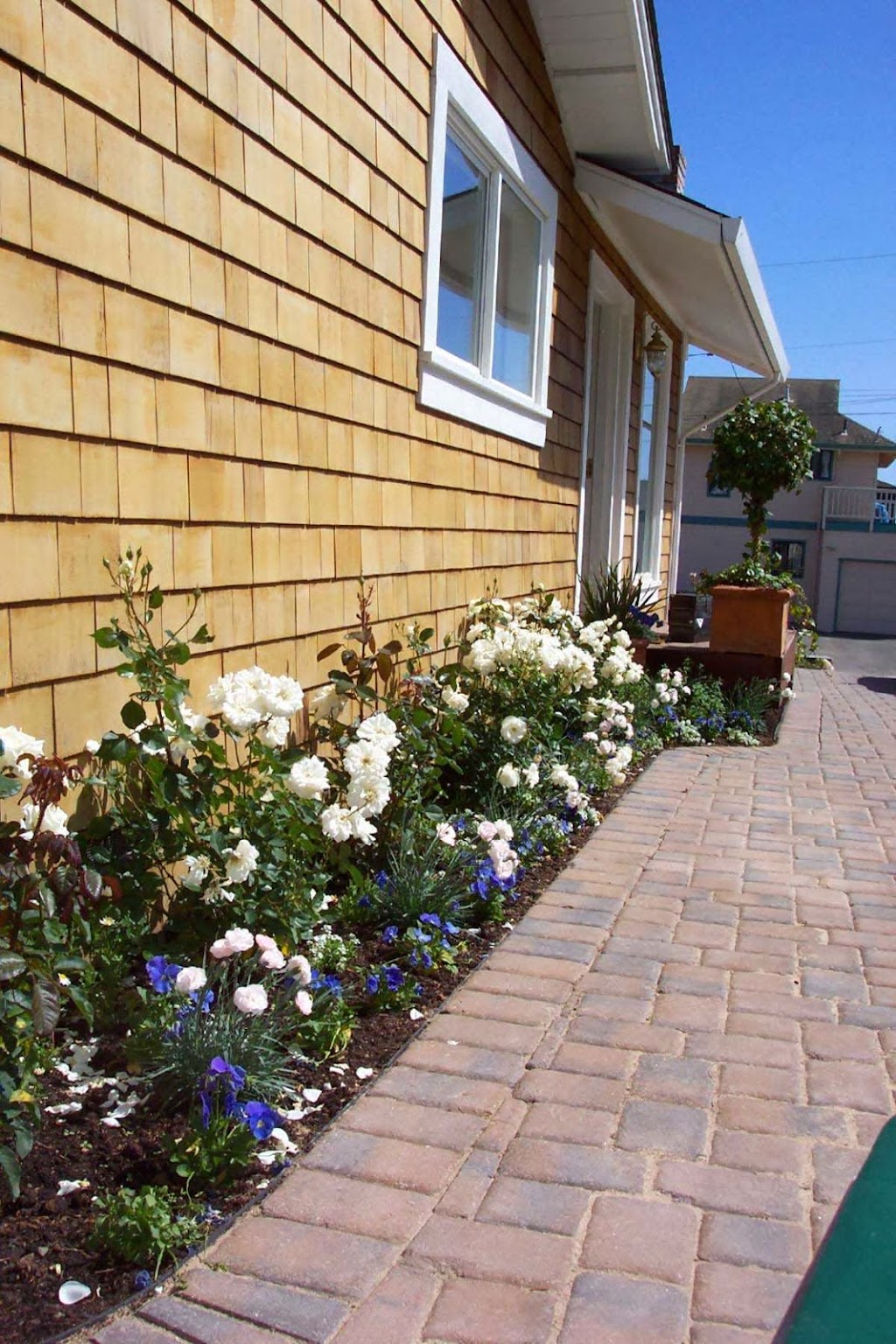 Beach View Cottage | 22035 E Cliff Dr, Santa Cruz, CA 95062, USA | Phone: (831) 818-8651