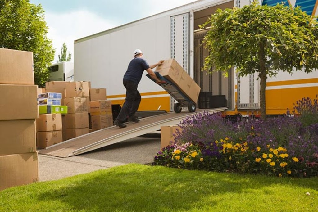 Movers R Here | 43958 S Moray St, Fremont, CA 94539, USA | Phone: (408) 560-3311