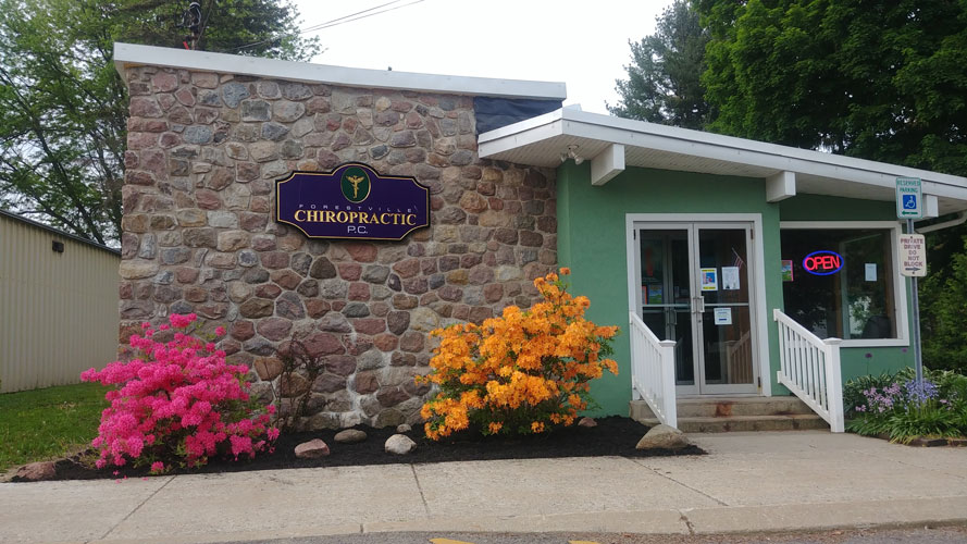 Forestville Chiropractic, P.C. | 24 Main St, Forestville, NY 14062, USA | Phone: (716) 965-4343