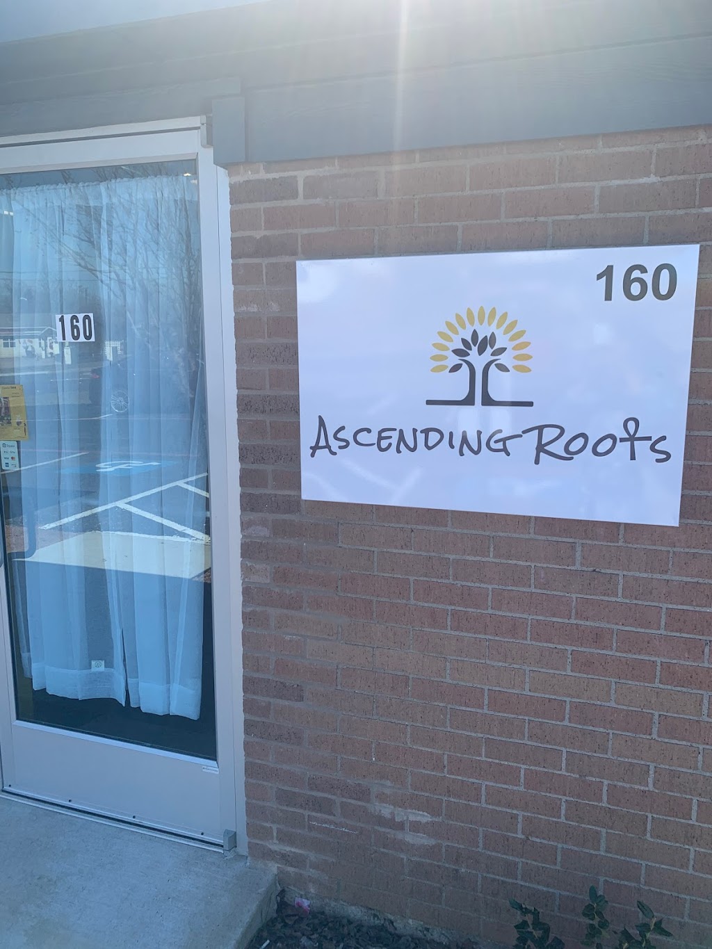 Ascending Roots | 880 W Kiest Blvd Unit 160, Dallas, TX 75224, USA | Phone: (630) 687-4278