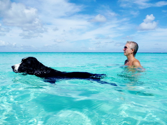 North Kenilworth Veterinary Care | 342 W McDowell Rd, Phoenix, AZ 85003, USA | Phone: (602) 374-3091