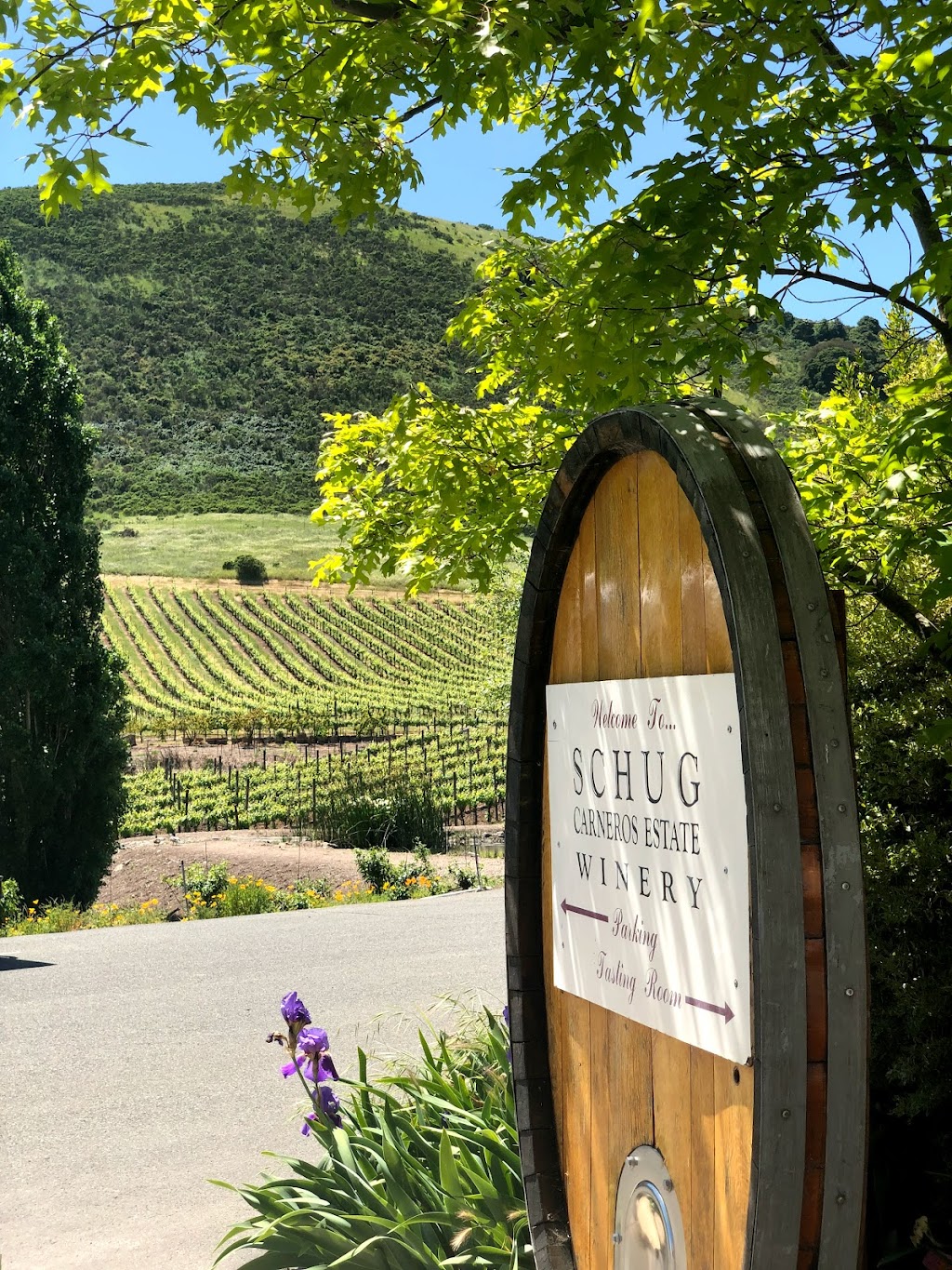 Schug Carneros Estate Winery | 602 Bonneau Rd, Sonoma, CA 95476, USA | Phone: (707) 939-9363