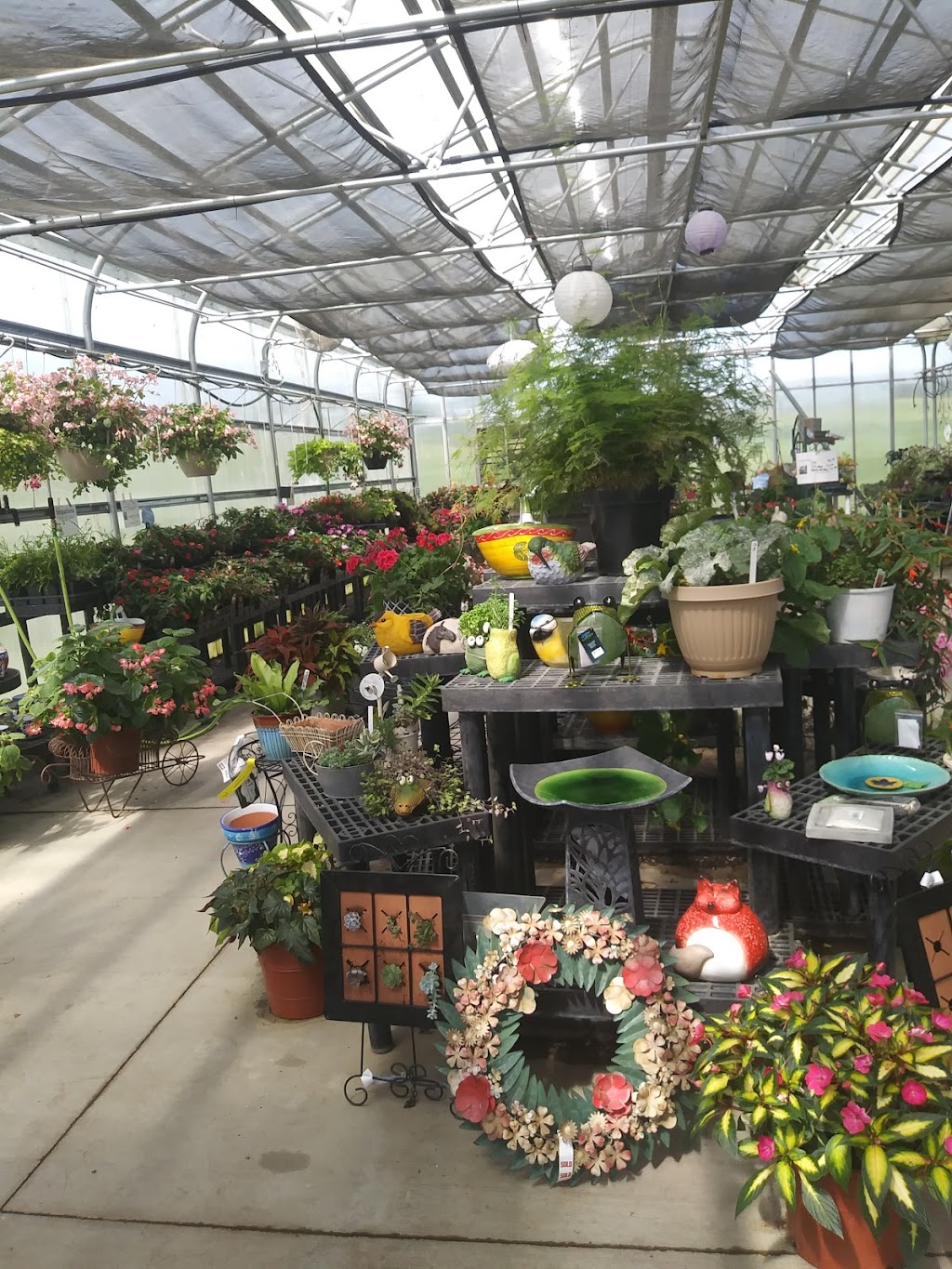 Cedar Hill Farm and Greenhouse | W10041 WI-29, River Falls, WI 54022, USA | Phone: (715) 426-1831