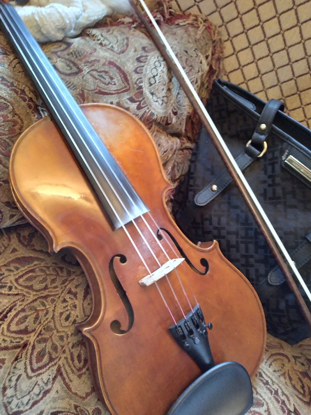 Peggy Brown Violin | 11780 W Hafeman Rd, Orfordville, WI 53576, USA | Phone: (608) 774-1579