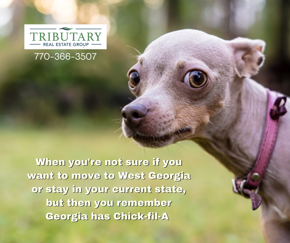 Tributary Real Estate Group | 141 N Bay View Dr, Villa Rica, GA 30180, USA | Phone: (770) 366-3507