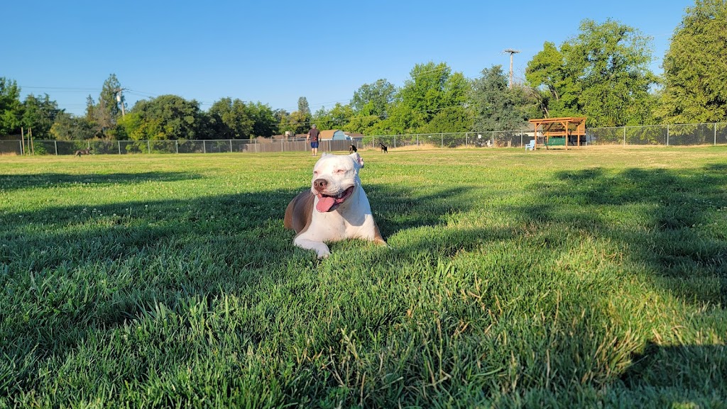 Phoenix Large Dog Park | 9050 Sunset Ave, Fair Oaks, CA 95628, USA | Phone: (916) 966-1036