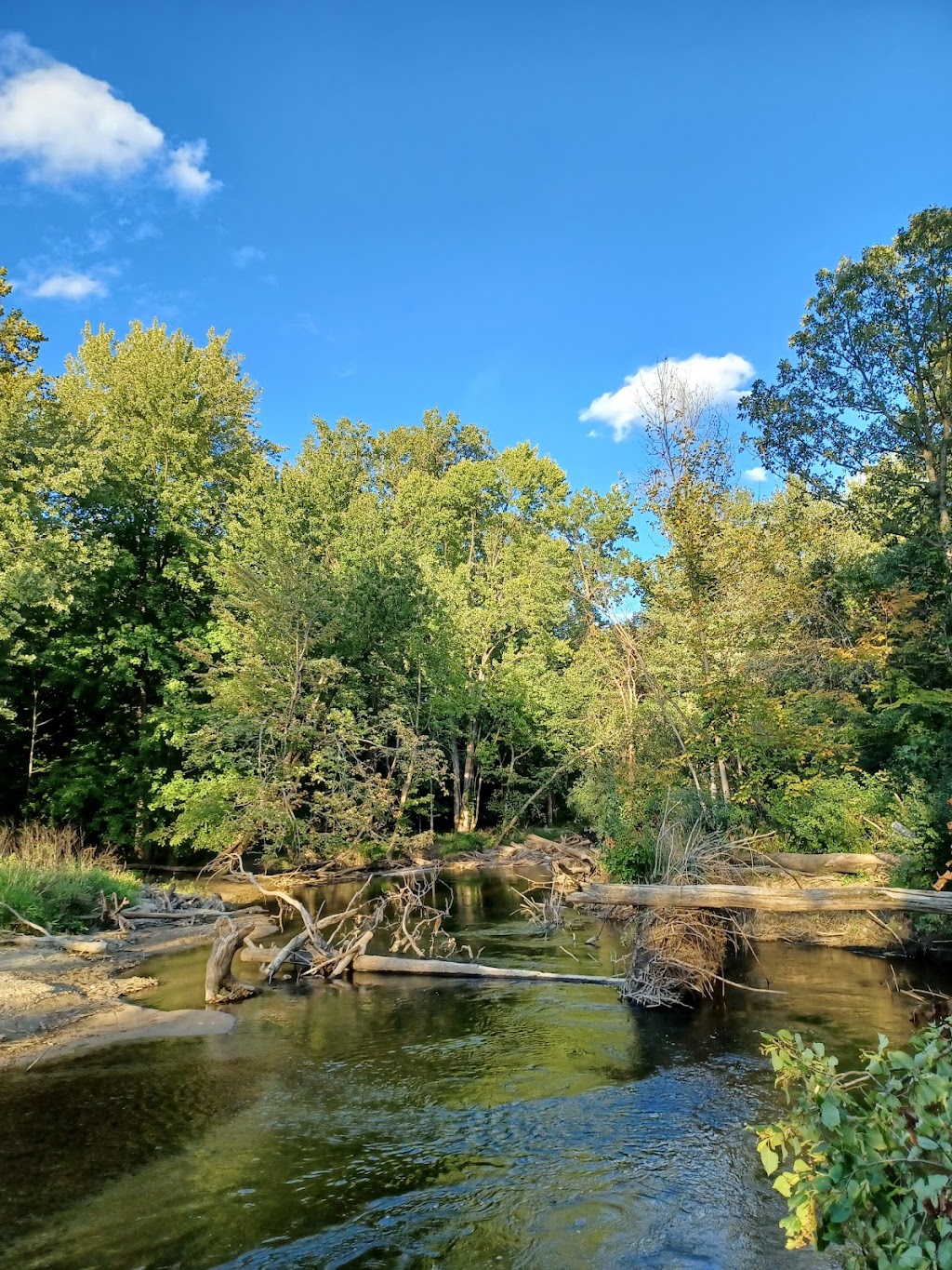 Burgess-Shadbush Nature Center | 4101 River Bends Dr, Shelby Township, MI 48317, USA | Phone: (586) 323-2478