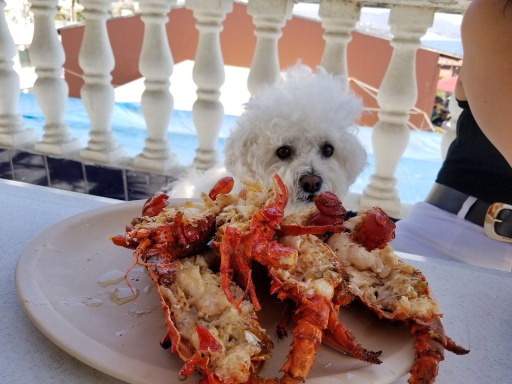 Jatay | Anzuelo 13, 22712 Puerto Nuevo, B.C., Mexico | Phone: 664 814 2369