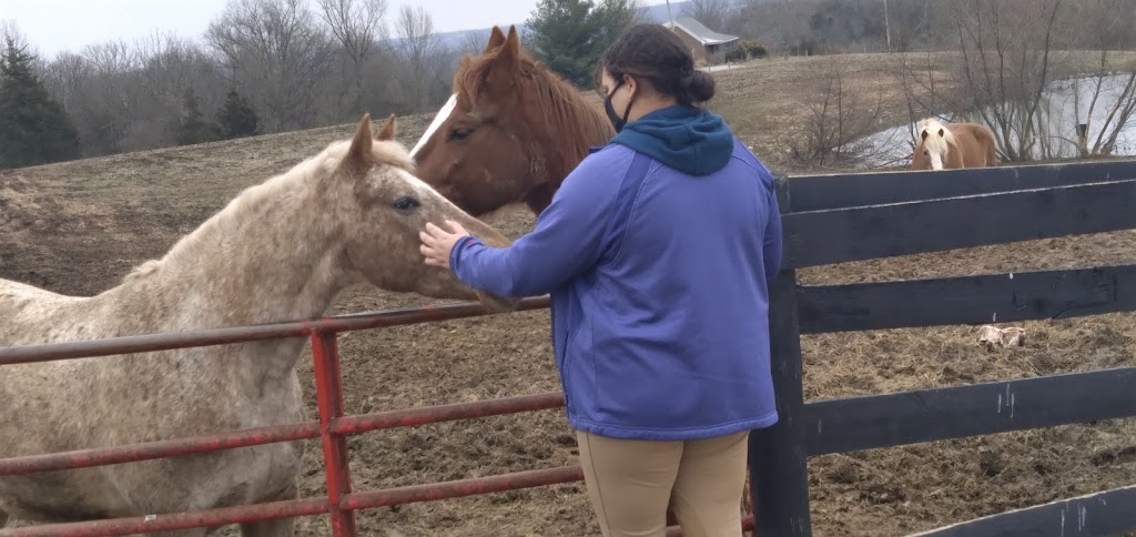 Louisville Equestrian Center | 6720 Mt Washington Rd, Taylorsville, KY 40071, USA | Phone: (502) 477-0830