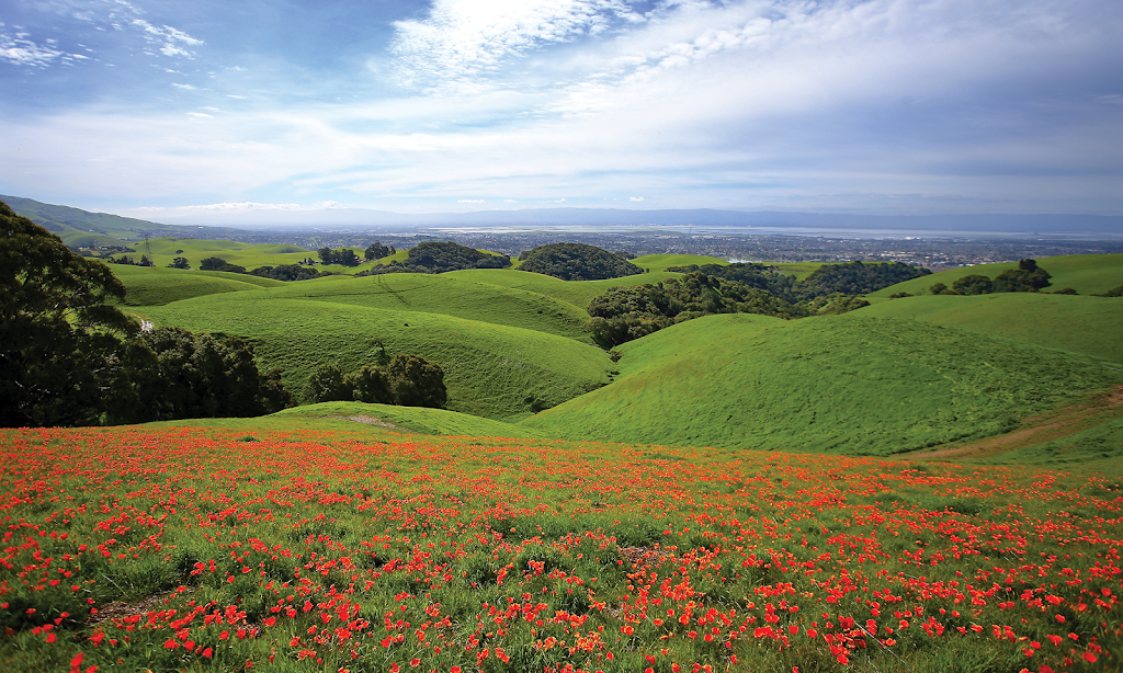 East Bay Regional Park District Main Office | 2950 Peralta Oaks Ct, Oakland, CA 94605, USA | Phone: (888) 327-2757