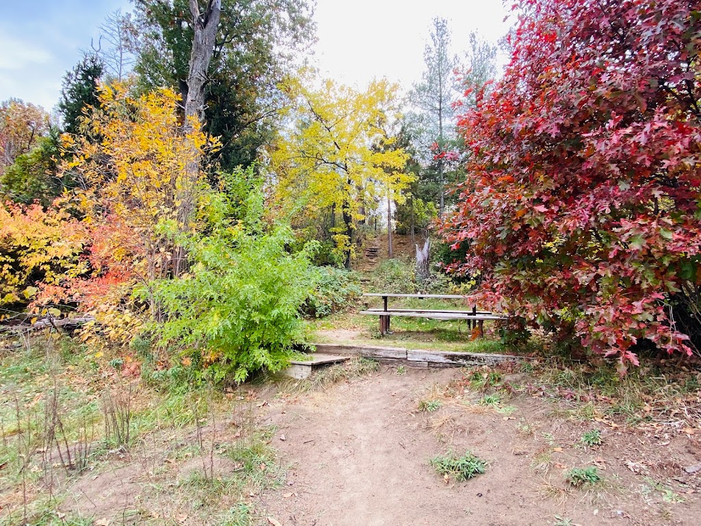 Ann Lake Beach in Sand Dunes State Forest | Prairies Edge Wildlife Dr, Big Lake, MN 55309, USA | Phone: (763) 272-4040