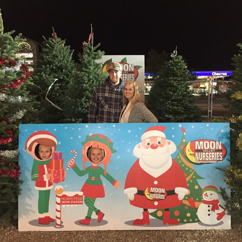 Moon Valley Nurseries Christmas Trees Glendale | 6400 W Bell Rd, Glendale, AZ 85308, USA | Phone: (858) 699-9996