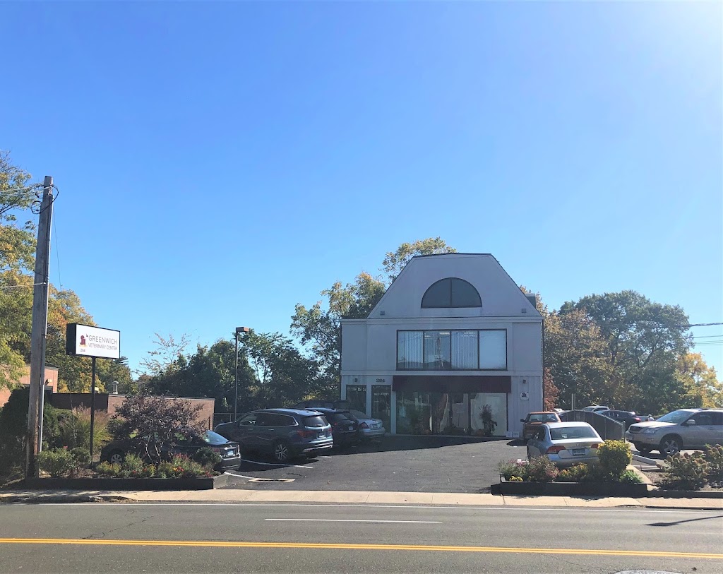 Greenwich Veterinary Center | 264 West Putnam Avenue, Greenwich, CT 06830, USA | Phone: (203) 661-1437