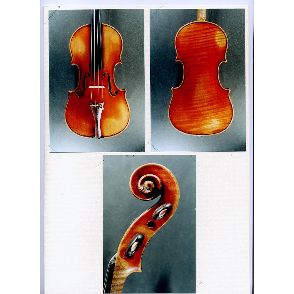 Filimonov Fine Violins | Seattle, WA 98117, USA | Phone: (206) 789-4760