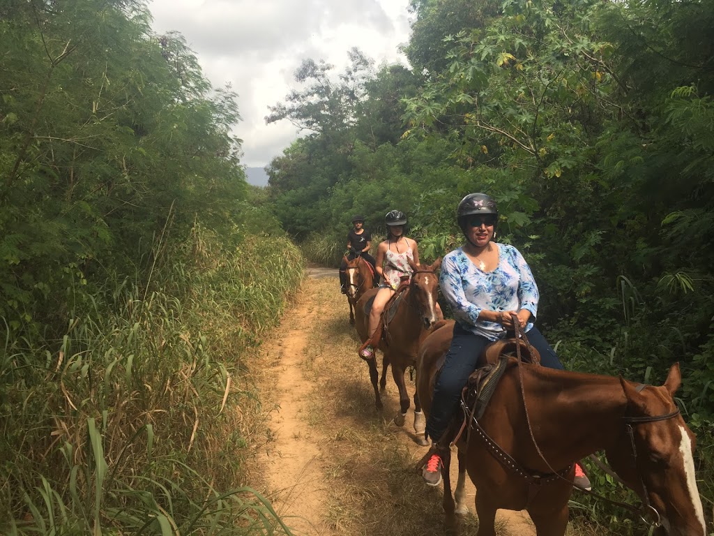 Waimanalo Beach Rides | 41-1062 Kalanianaʻole Hwy, Waimanalo, HI 96795, USA | Phone: (808) 421-9874