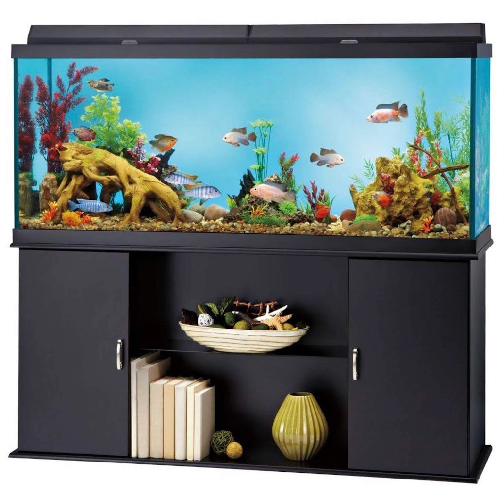 Exotic Fish & Corals | 804 E Lincoln Ave, Orange, CA 92865, USA | Phone: (714) 771-2073