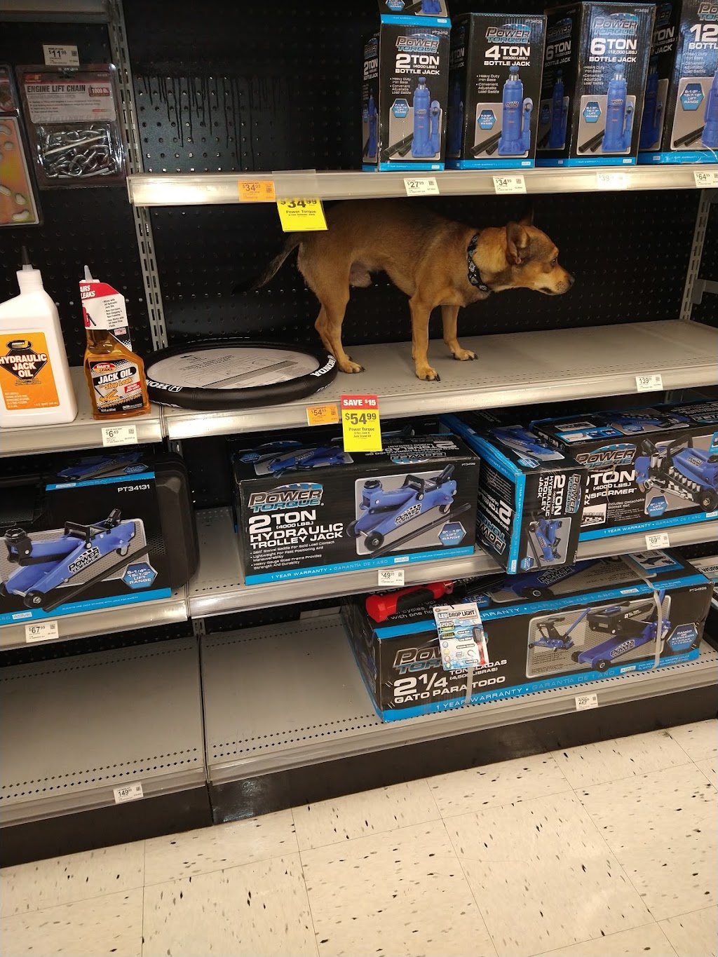 OReilly Auto Parts | 13710 W Waddell Rd, Surprise, AZ 85379, USA | Phone: (623) 544-9560