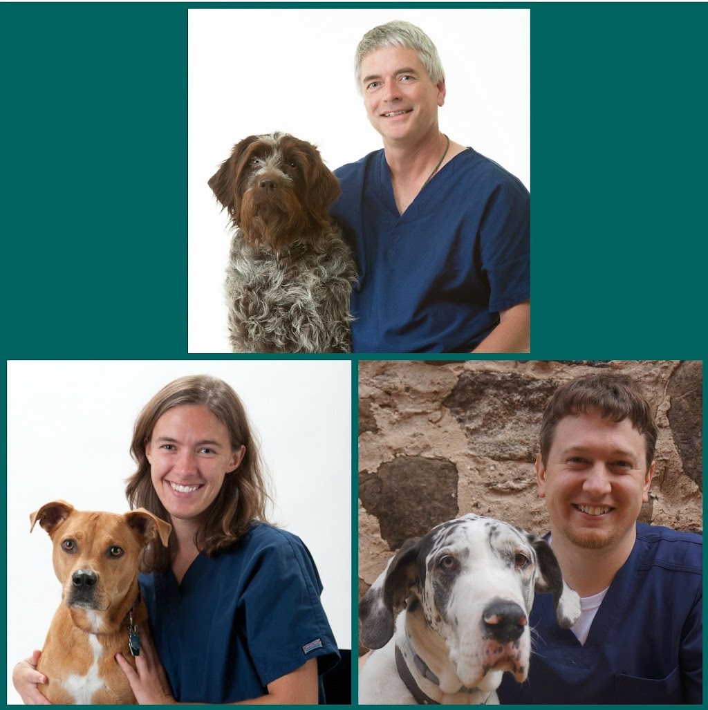 Deer Grove Veterinary Clinic | 535 Southing Grange, Cottage Grove, WI 53527, USA | Phone: (608) 839-5323