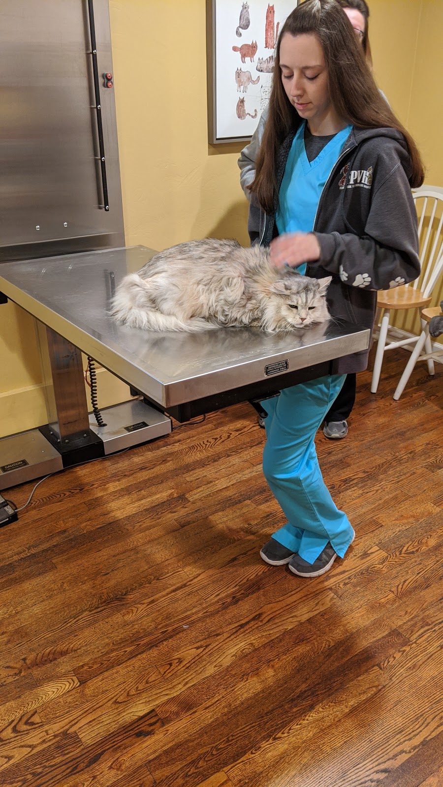 Franklin Park Veterinary Hospital | 2406 Nicholson Rd, Sewickley, PA 15143, USA | Phone: (412) 528-4846