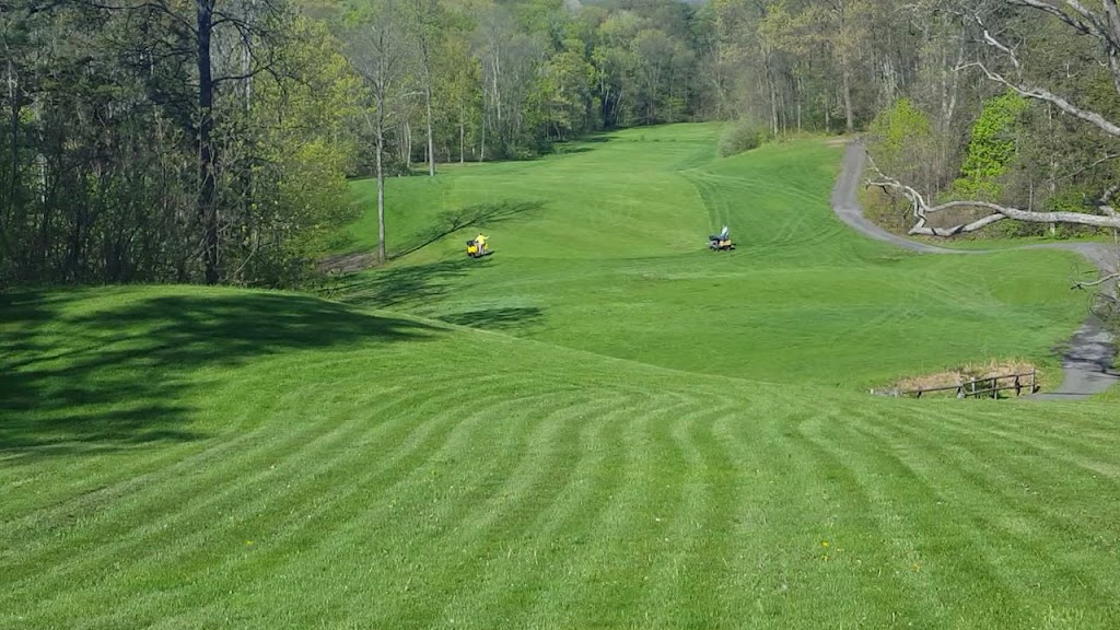 Cedar Tree Properties | 4217 Albany St, Albany, NY 12205, USA | Phone: (518) 649-9040