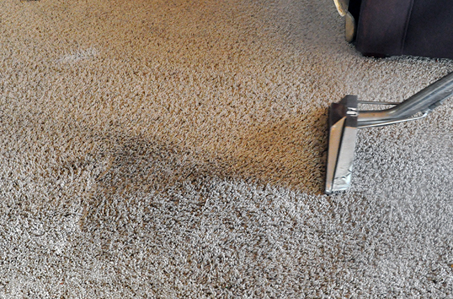 Flower Mound Cleaning Carpet | 4232 Bonita Dr, Flower Mound, TX 75022, USA | Phone: (972) 528-0551