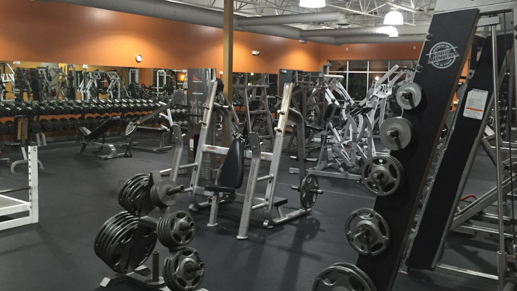 Powerhouse Gym | 1298 W Bagley Rd, Berea, OH 44017, USA | Phone: (440) 973-4441