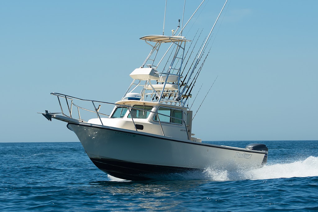 AllWater Fishing Charters, Catalina Island | 25051 Calle Playa c, Laguna Niguel, CA 90704, USA | Phone: (310) 955-4201