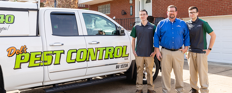 Dels Pest Control LLC. | Box 55, 120 Crest Ave, Charleroi, PA 15022, USA | Phone: (724) 344-9740