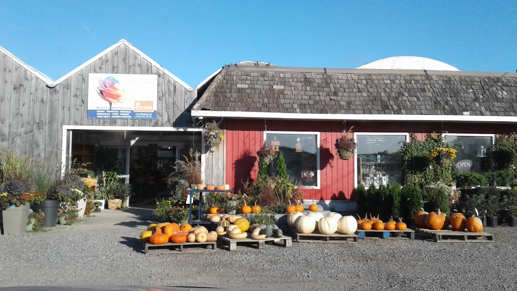 Rice Road Greenhouses and Garden Centre | 1361 Rice Rd, Welland, ON L3B 5N5, Canada | Phone: (905) 892-5832