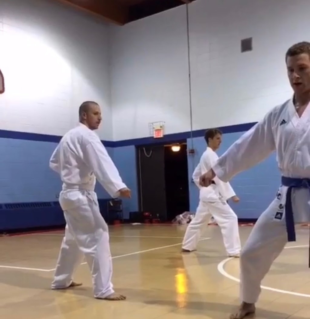 Illinois Shotokan Karate Clubs | 327 N Eric Dr, Palatine, IL 60067, USA | Phone: (847) 359-0666