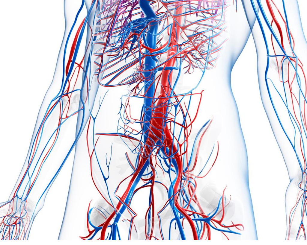 Western Vascular Institute - Vascular Testing Center | 7165 E University Dr Suite 105 Bldg. #2, Mesa, AZ 85207, USA | Phone: (480) 668-5000