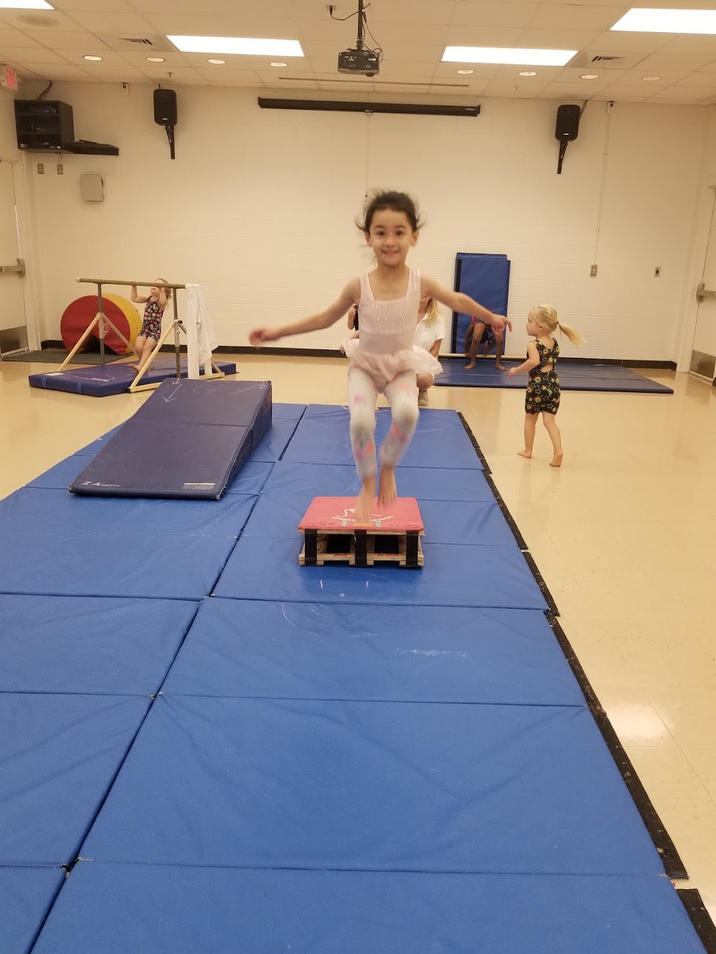 Sunshine Gymnastics est.1973 | St. Petersburg, FL 33710 | Phone: (727) 804-9400