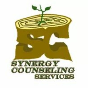 Synergy Counseling Services, LLC | 33300 Warren Rd #19, Westland, MI 48185, USA | Phone: (734) 799-7351