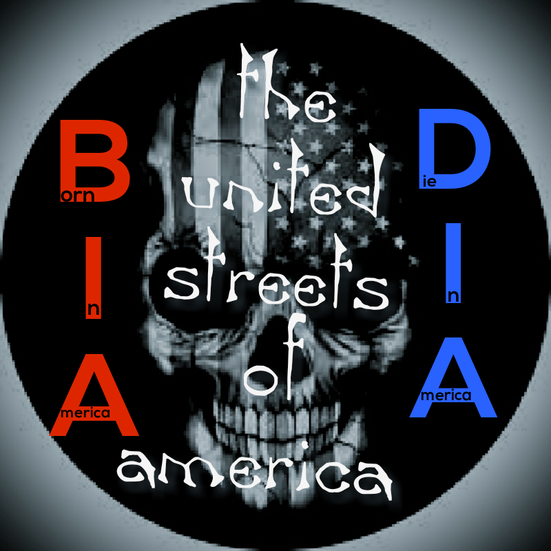 BIADIA Foundation | 1540 E Soledad Pass Rd, Palmdale, CA 93550, USA | Phone: (818) 564-0626