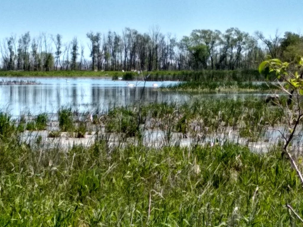 Ottawa National Wildlife Refuge Visitor Center | 14000 OH-2, Oak Harbor, OH 43449, USA | Phone: (419) 898-0014