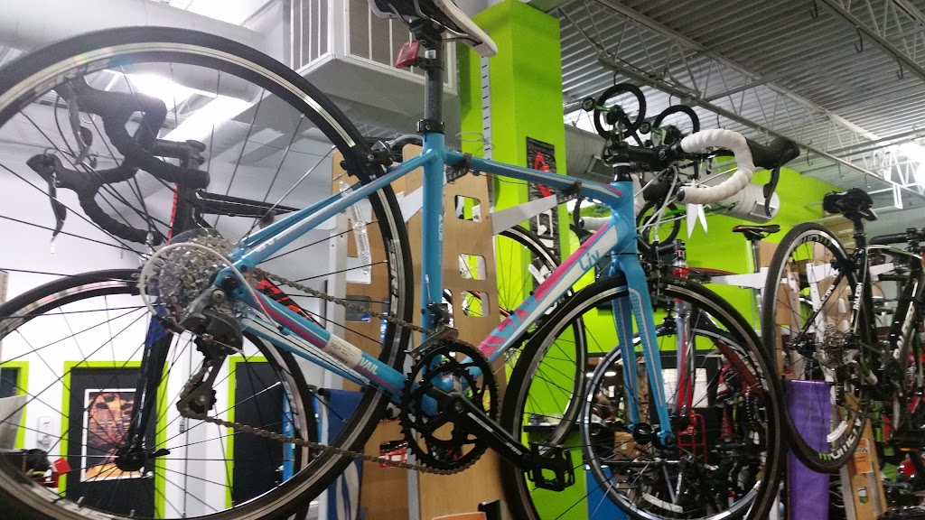 B3 Bicycles - Giant Howell | 6527 US-9, Howell Township, NJ 07731, USA | Phone: (732) 987-6267