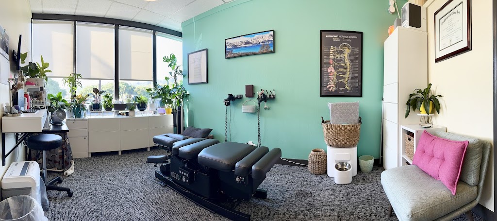 The Spine Studio: Chiropractic and Wellness | 1760 Solano Ave Suite 200, Berkeley, CA 94707, USA | Phone: (510) 519-0277