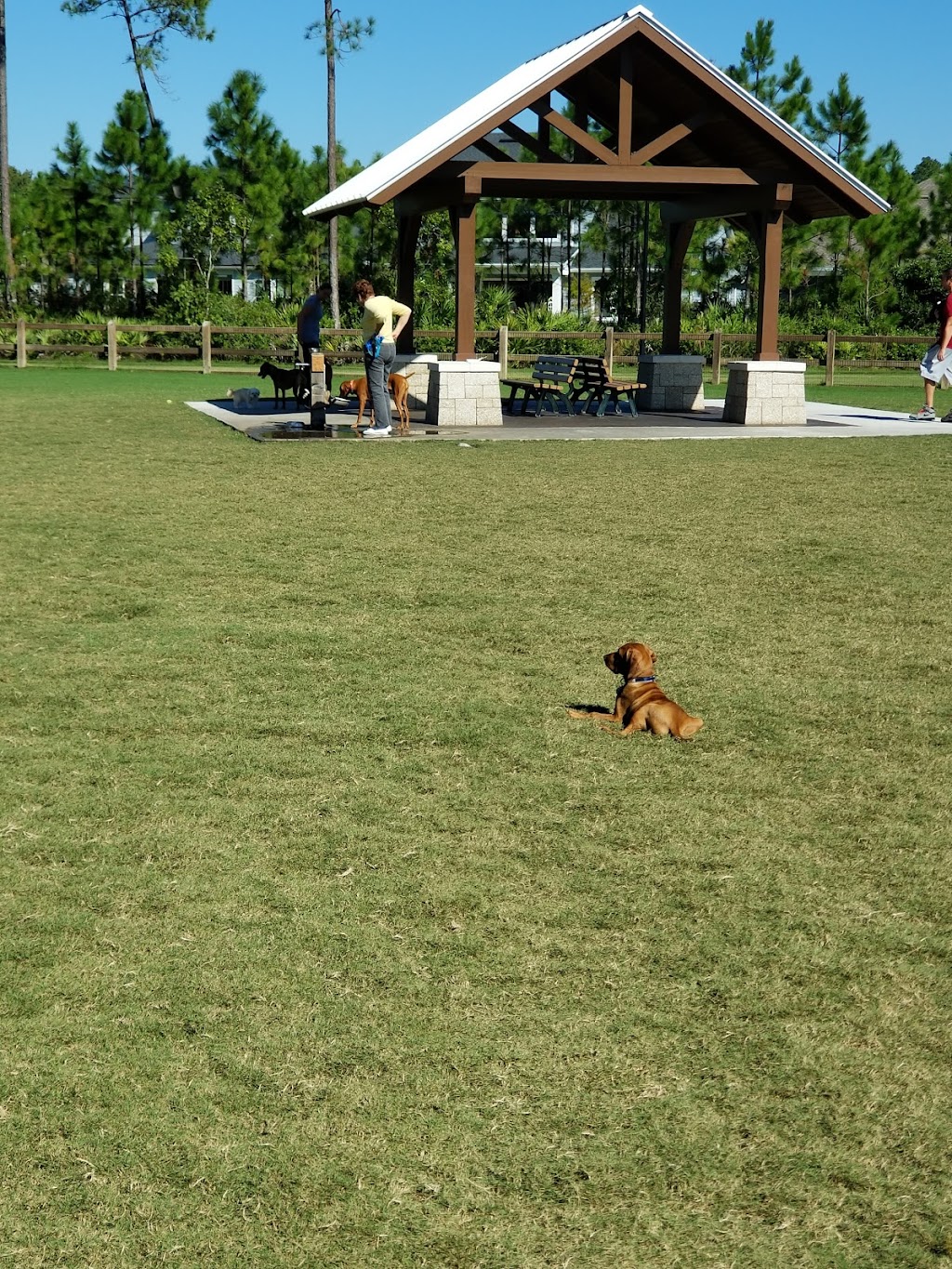 Nocatee Dog Park | Ponte Vedra Beach, FL 32081, USA | Phone: (904) 924-6850