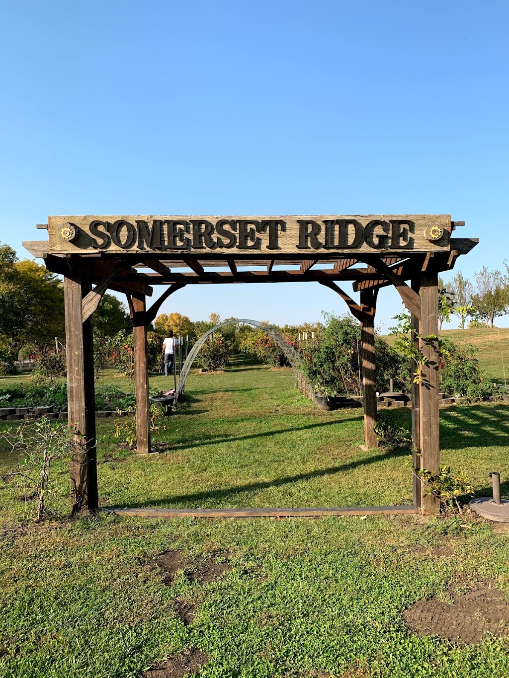 Somerset Ridge Vineyard & Winery | 29725 Somerset Rd, Paola, KS 66071, USA | Phone: (913) 491-0038