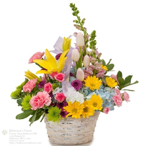 Baltimores Florist | 1206 Ridgely St, Baltimore, MD 21230, USA | Phone: (410) 727-6610