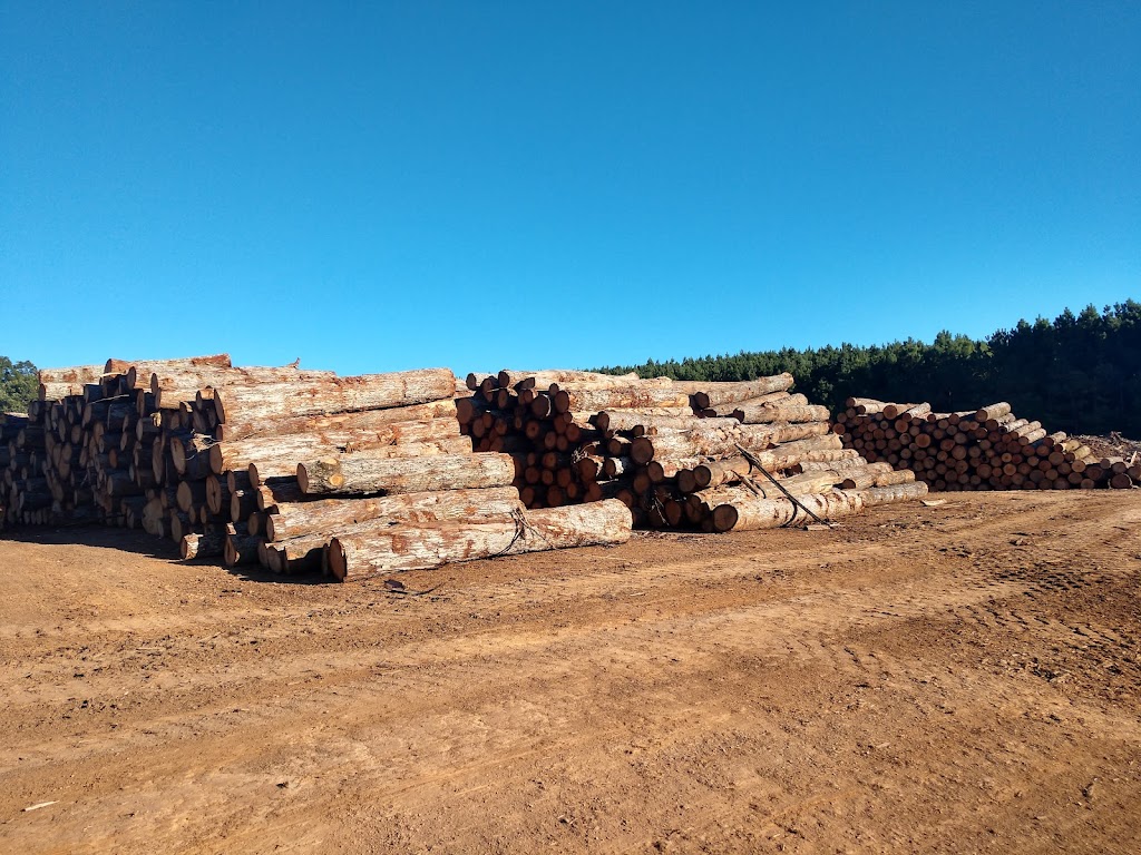 High Rock Forest Products | 6736 NC-47, Lexington, NC 27292 | Phone: (336) 746-5885