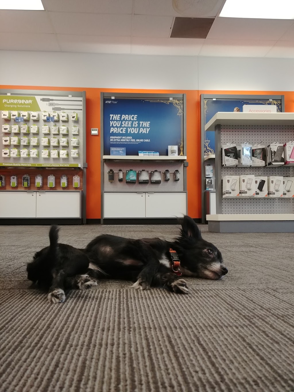 AT&T Store | 105 High Ridge Commons Pkwy, High Ridge, MO 63049, USA | Phone: (636) 677-2355