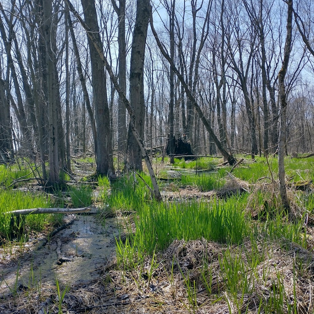 Jackson Marsh State Natural Area | West Bend, WI 53095, USA | Phone: (888) 936-7463