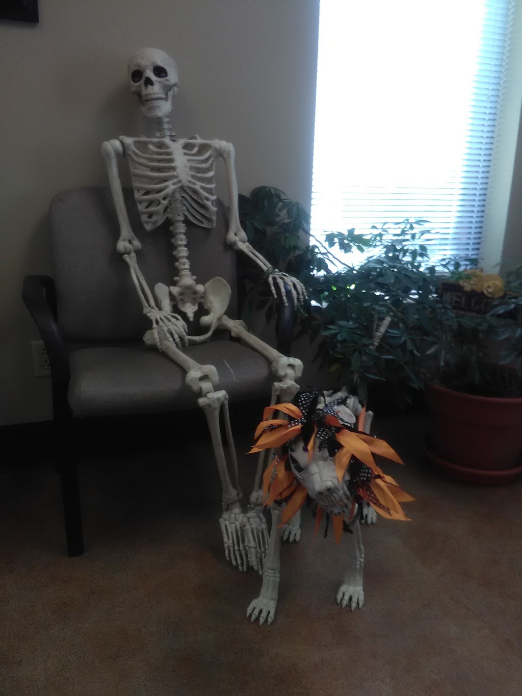 McCormick Animal Clinic | 3252 Blackwood Dr, Nashville, TN 37214, USA | Phone: (615) 883-8280